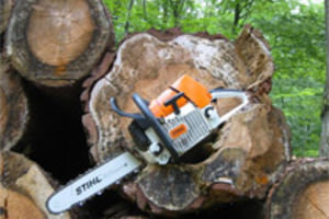 NL: Partner voor bosexploitatie en beheer. DE: Ihr Partner im Forstbetrieb und in der Verwaltung