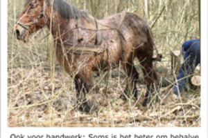 Gemotiveerde vakmensen en hoogwaardig materieel